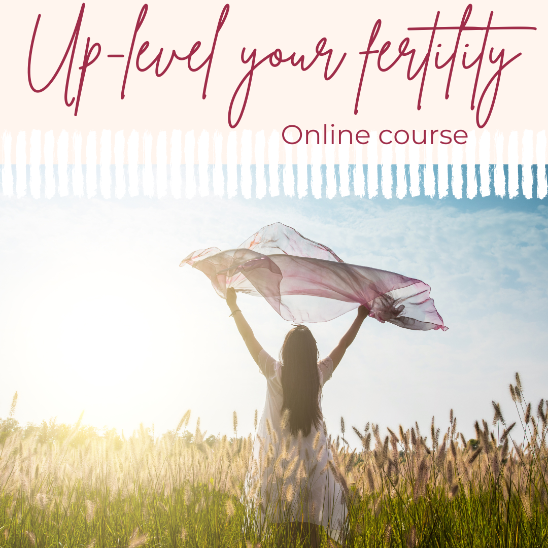 A cover photo of my up-level your fertility course